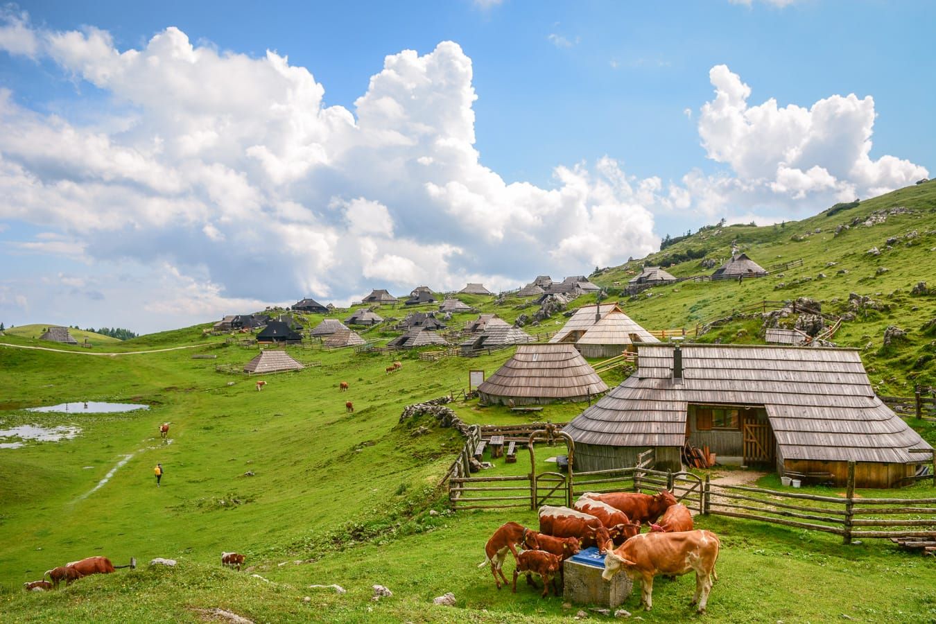 Velika planina, Velika planina, Kamnik